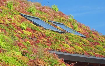 Sutton Montis living roof systems